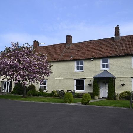 The Lawns Tea Room And B&B Ashcott Kültér fotó