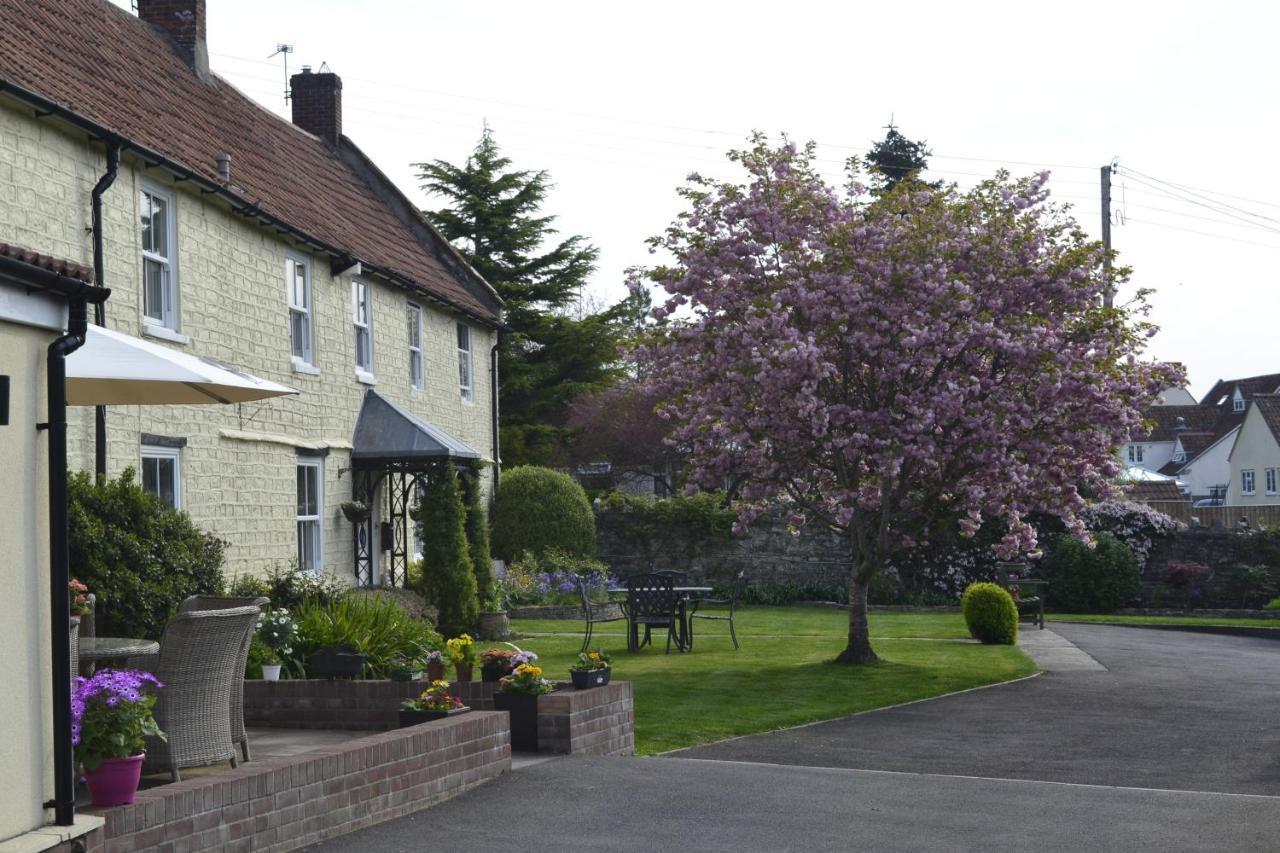 The Lawns Tea Room And B&B Ashcott Kültér fotó
